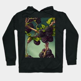 Fresh Blackberries Hoodie